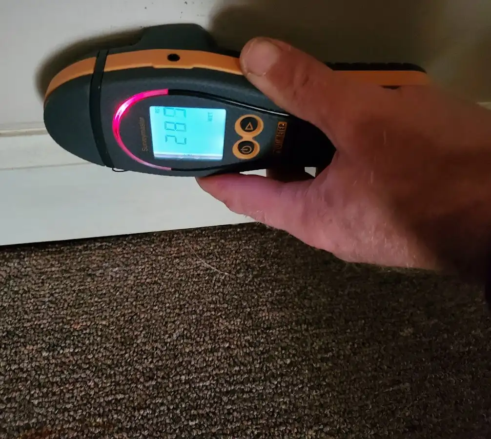 Moisture detection at baseboard during Sewage Cleanup & Sanitation in Quincy